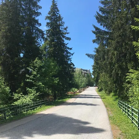 S Vyhladom Na Stity Ovruc 312 Apart Otel Štrbské Pleso