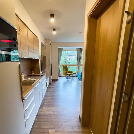 Aparthotel S Vyhladom Na Stity Ovruc 312 4*