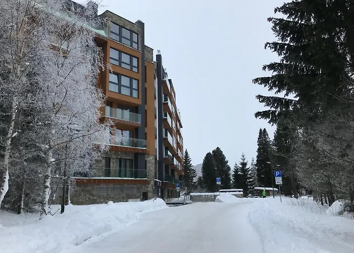 S Vyhladom Na Stity Ovruc 312 Štrbské Pleso